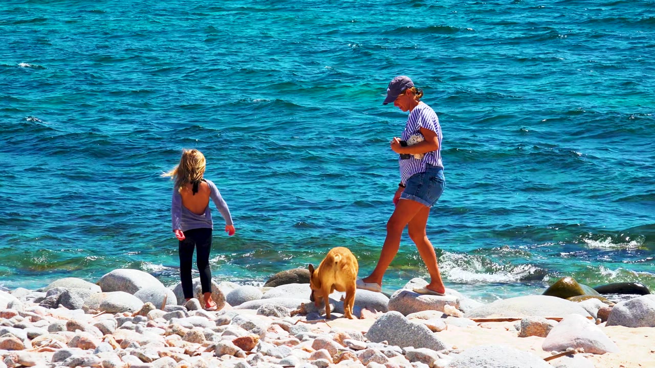 At La Ventana, Mexico, the child stands near the waterline, the adult faces down toward the shore, and the tan dog lowers its head among rocks by the surf.
