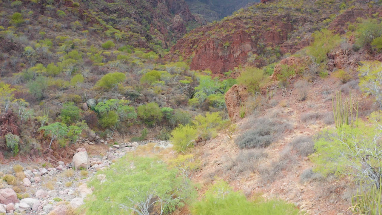 Puerto Escondido, Baja California Sur view of a stony riverbed crossing the lower frame, with bright green desert vegetation and reddish rock slopes behind, with no visible people.