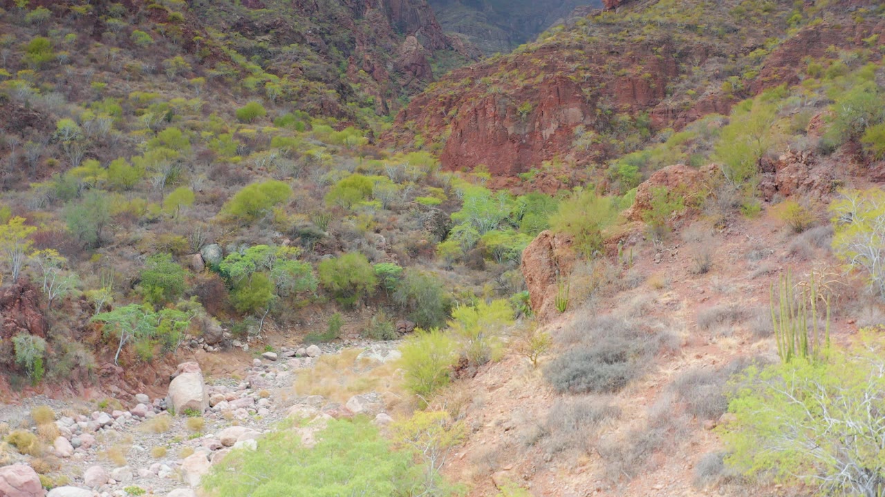 Puerto Escondido, Baja California Sur arid valley frame with the rocky wash low in view, dense patches of green shrub growth, cactus-like plants, and layered red-brown terrain, with no visible people.