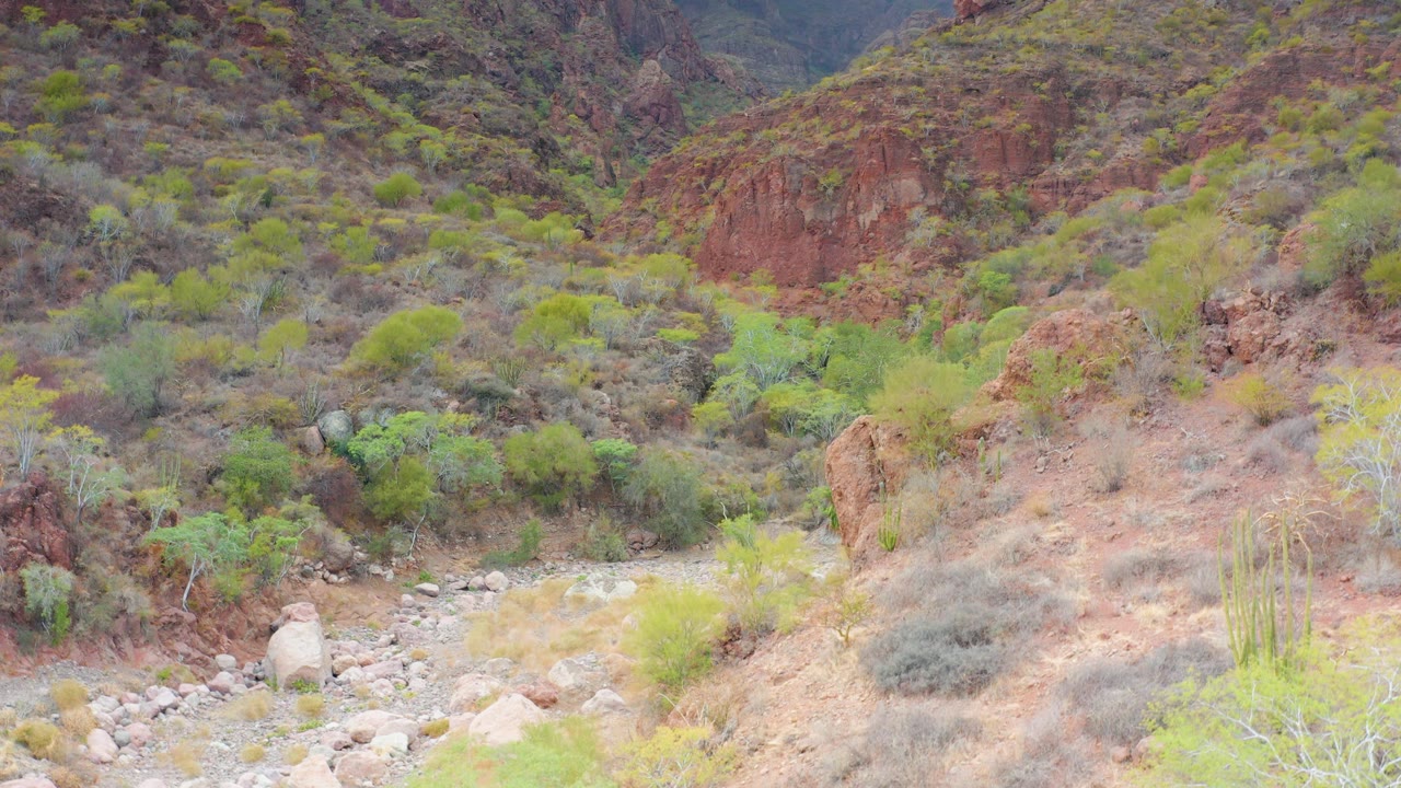 Puerto Escondido, Baja California Sur desert slope with reddish exposed earth, scattered green shrubs, pale riverbed stones, and cactus forms along the lower valley floor, with no visible people.