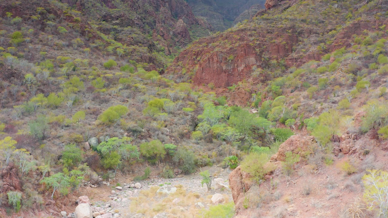 Start frame of a dry riverbed in a rocky Puerto Escondido, Baja California Sur canyon, with scattered green shrubs and no visible people.