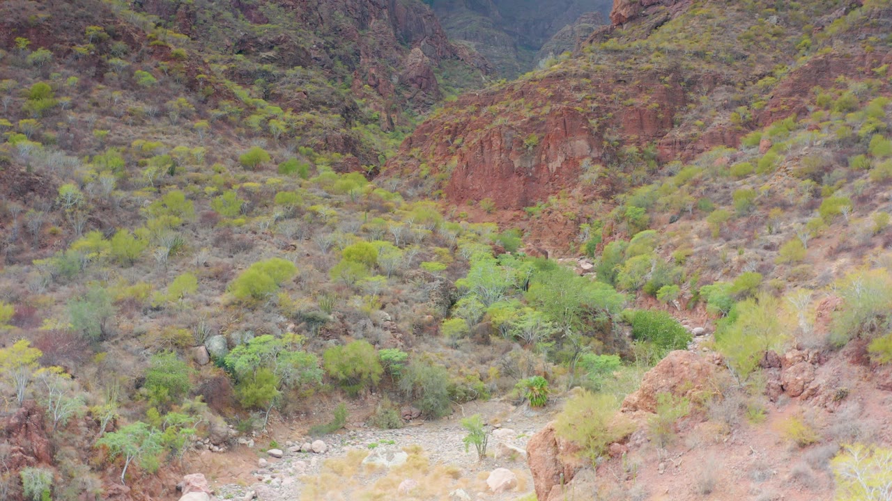 Rocky canyon slope above a dry wash with scattered desert vegetation.