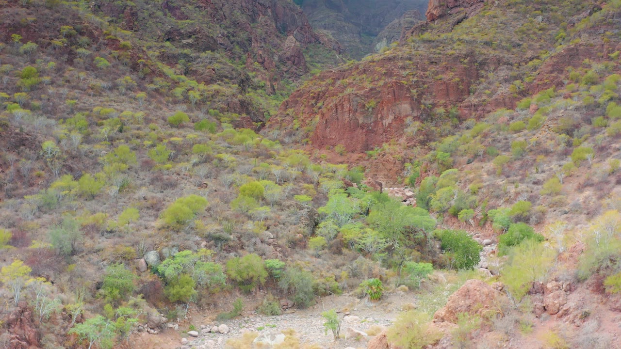 Mid-early frame in Puerto Escondido, Baja California Sur, with red rock faces, a pale riverbed corridor, scattered shrubs, and no visible people.