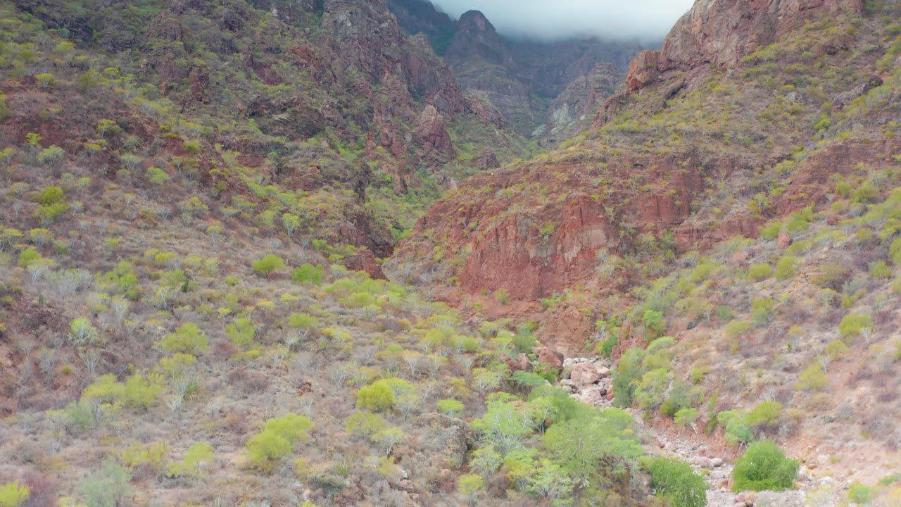 Wide view of a Puerto Escondido, Baja California Sur red rock canyon with scattered green shrubs, a rocky wash below, low cloud on the peaks, and no visible people.