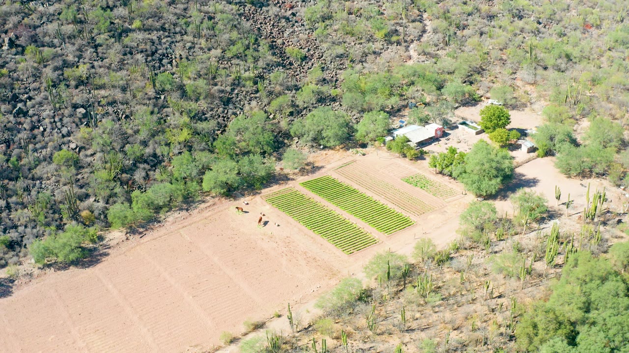 Third frame from San Javier, Baja California Sur, showing bright rectangular crop rows below the small building area, dry farm plots in the foreground, and no recognizable people.