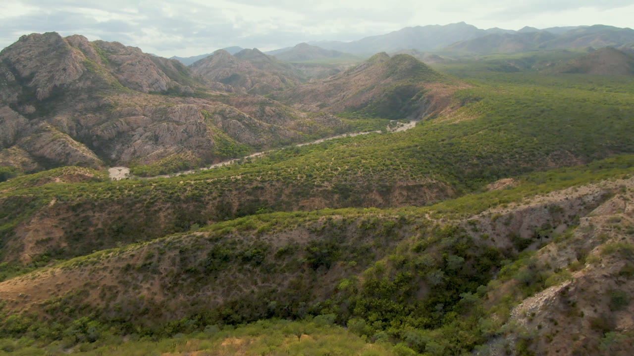 Aerial frame in Cabo Pulmo with a large rocky ridge left of center, dense green vegetation across the valley floor, a light road bend below, hazy background mountains, and no visible people.