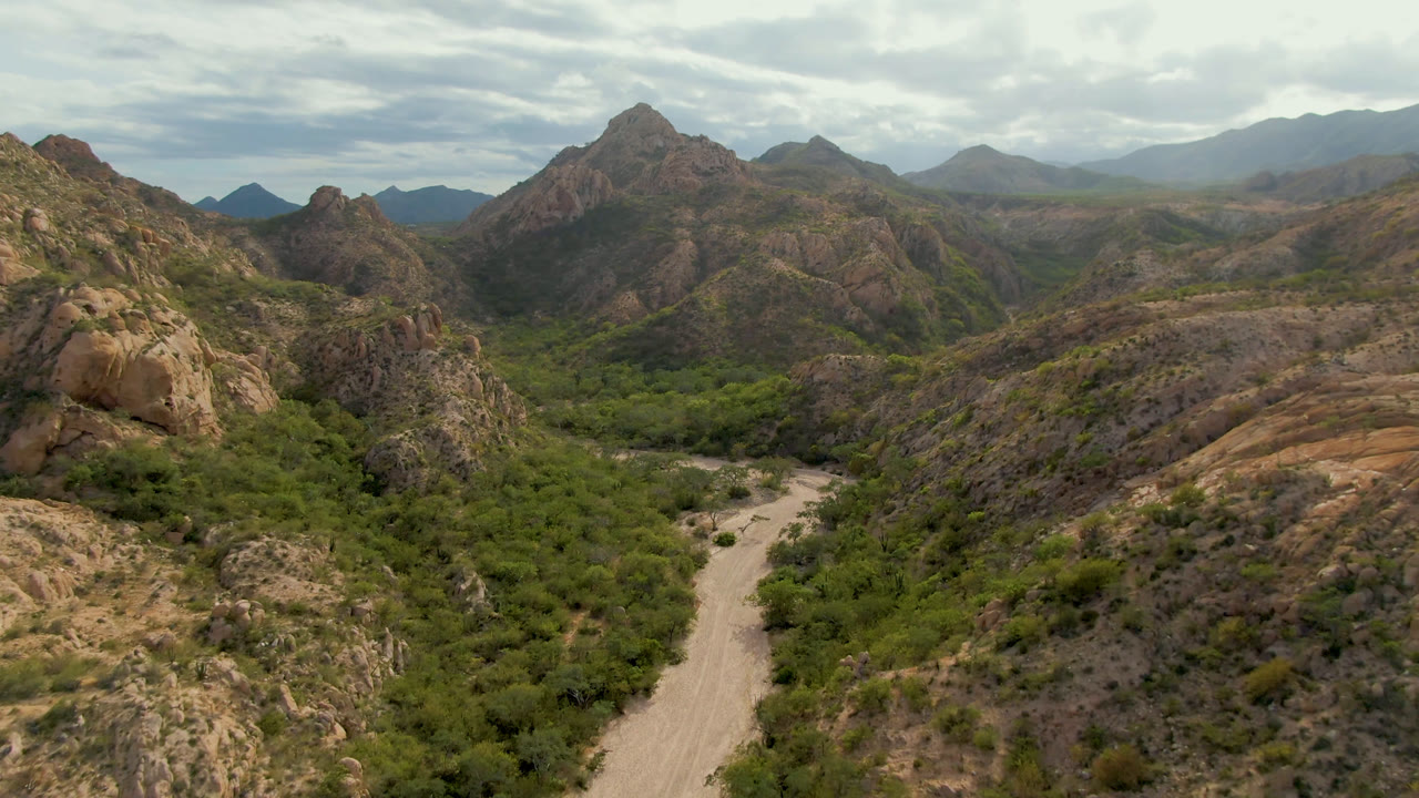Wide aerial frame over Cabo Pulmo, Baja California Sur, with a pale dirt road curving through dense green desert vegetation below rocky ridges and no visible people.