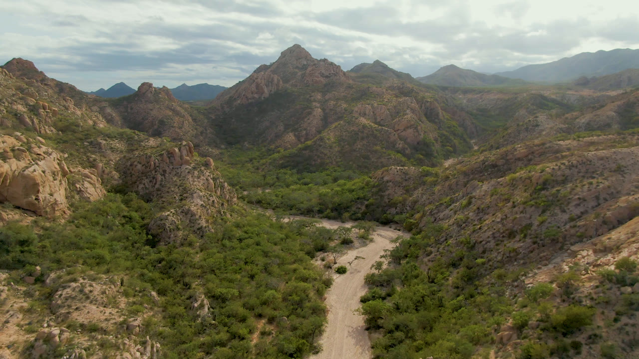 Desert valley road bordered by shrubs with jagged hills and mountains beyond.
