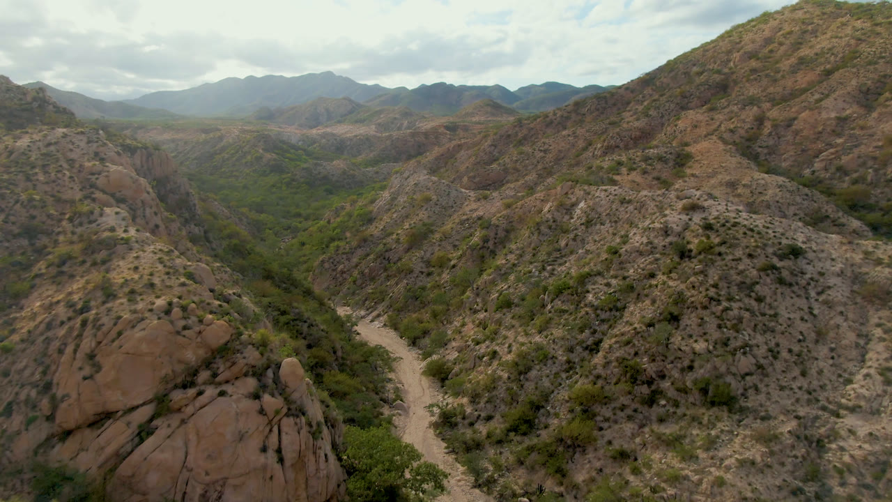 Aerial view in Cabo Pulmo, Baja California Sur, Mexico, looking over rocky desert hills, a pale winding road, green valley palms, distant mountains, and no visible people.