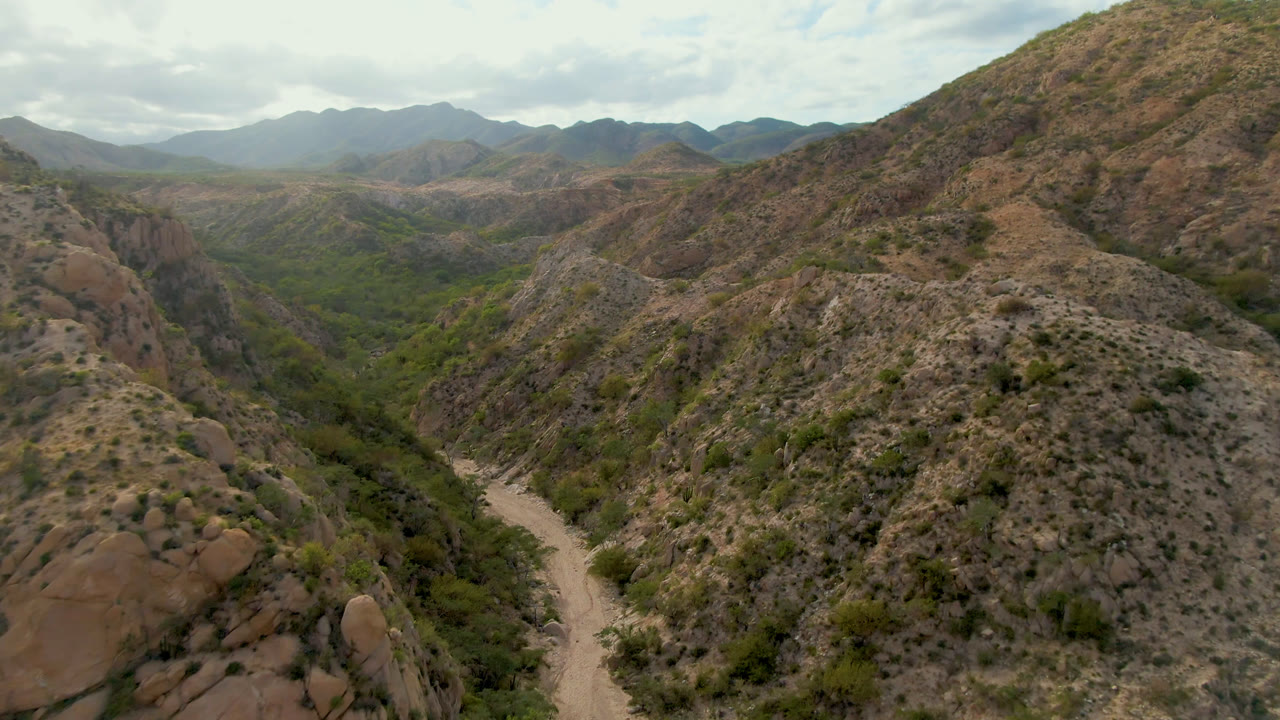 Elevated Cabo Pulmo frame with the road more centered between dry brown slopes, green palms following the wash below, layered mountain ridges beyond, and no visible people.