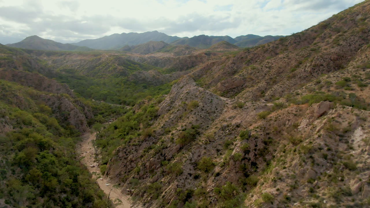 Elevated Cabo Pulmo view with a steep rocky slope filling the right foreground, green vegetation through the valley floor, distant mountain layers, and no visible people.