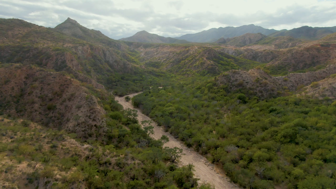 Aerial frame from Cabo Pulmo, Baja California Sur, with the road bending through dense green vegetation while rocky ridges fill the middle distance and no visible people appear.