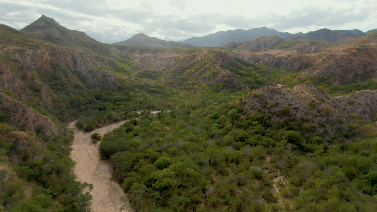 Wide aerial frame from Cabo Pulmo, Baja California Sur, showing a pale dirt road curving through green valley vegetation below rocky brown mountains, with no visible people.