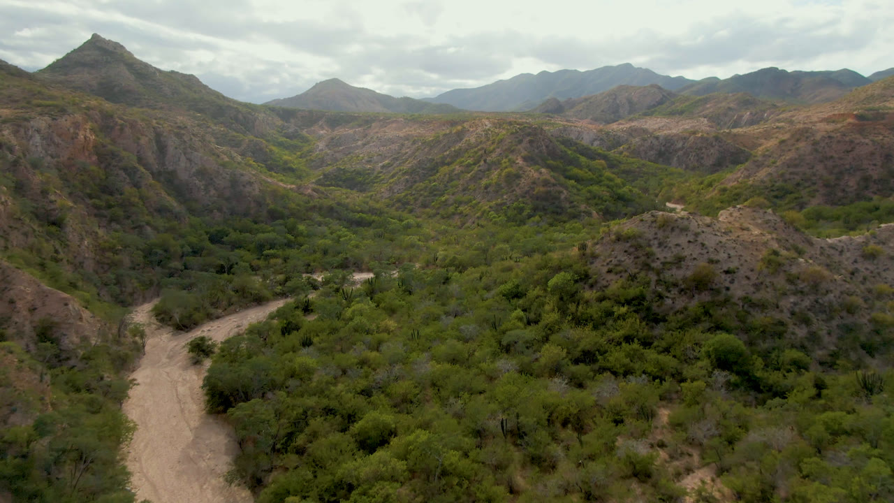 Aerial view in Cabo Pulmo, Baja California Sur, with the dirt road lower in frame, dense green growth across the valley floor, layered mountains beyond, and no visible people.