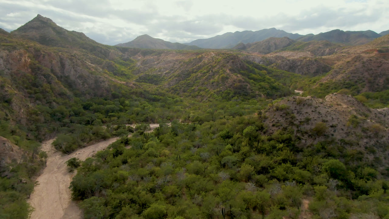 Mountain valley landscape with a pale road curving through brush below pointed ridgelines.