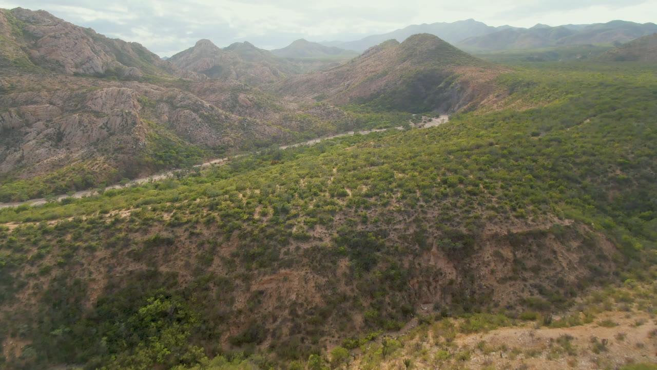 Elevated view in Cabo Pulmo, Baja California Sur, with rocky slopes on both sides, dense green valley vegetation, a pale road or wash, and no visible people.