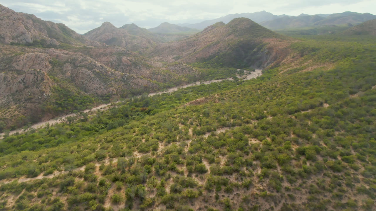 Aerial view over a green desert valley in Cabo Pulmo, Baja California Sur, with rocky hills, a pale river corridor, hazy mountains, clouded sky, and no visible people.