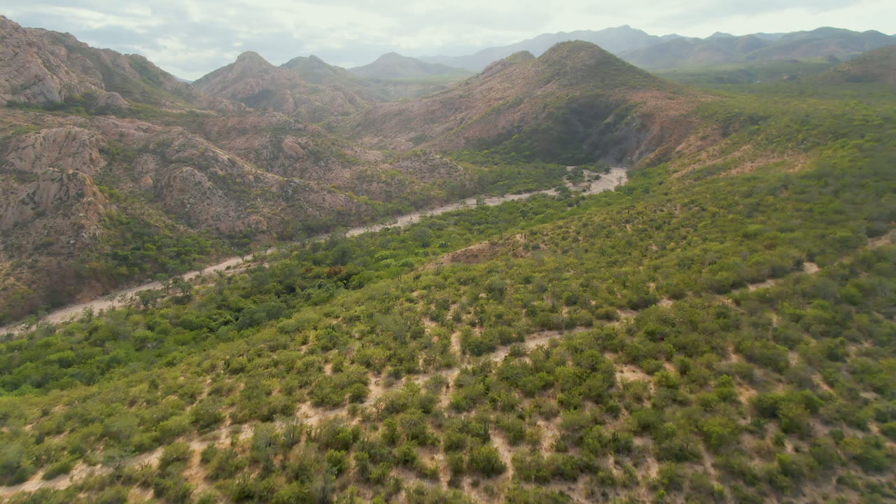 A high aerial frame in Cabo Pulmo shows dense green vegetation across the valley floor, brown mountain ridges, a pale winding river corridor, and no visible people.