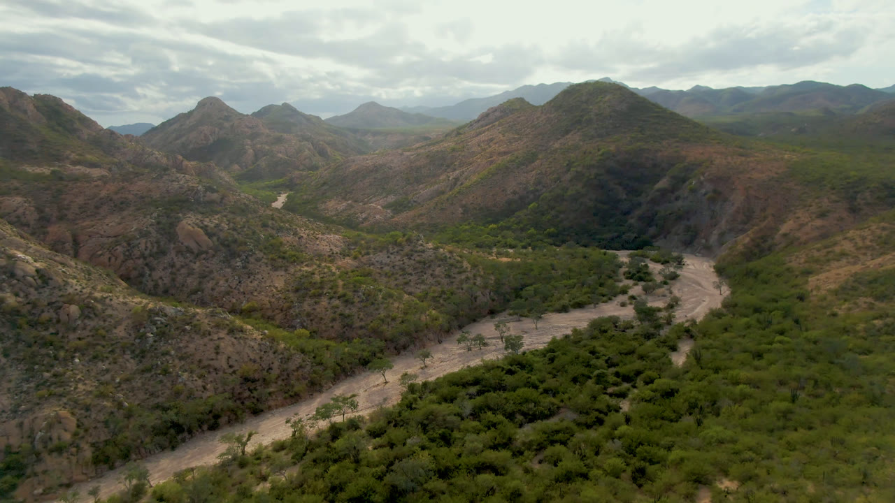 Aerial frame over Cabo Pulmo, Baja California Sur, showing a winding pale road or dry wash through dense green valley vegetation, brown mountain slopes, cloudy sky, and no visible people.