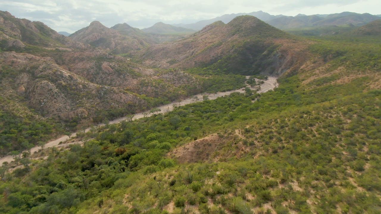 Aerial frame from Cabo Pulmo, Baja California Sur, Mexico showing a pale riverbed cutting through green valley vegetation with rocky hills and no visible people.