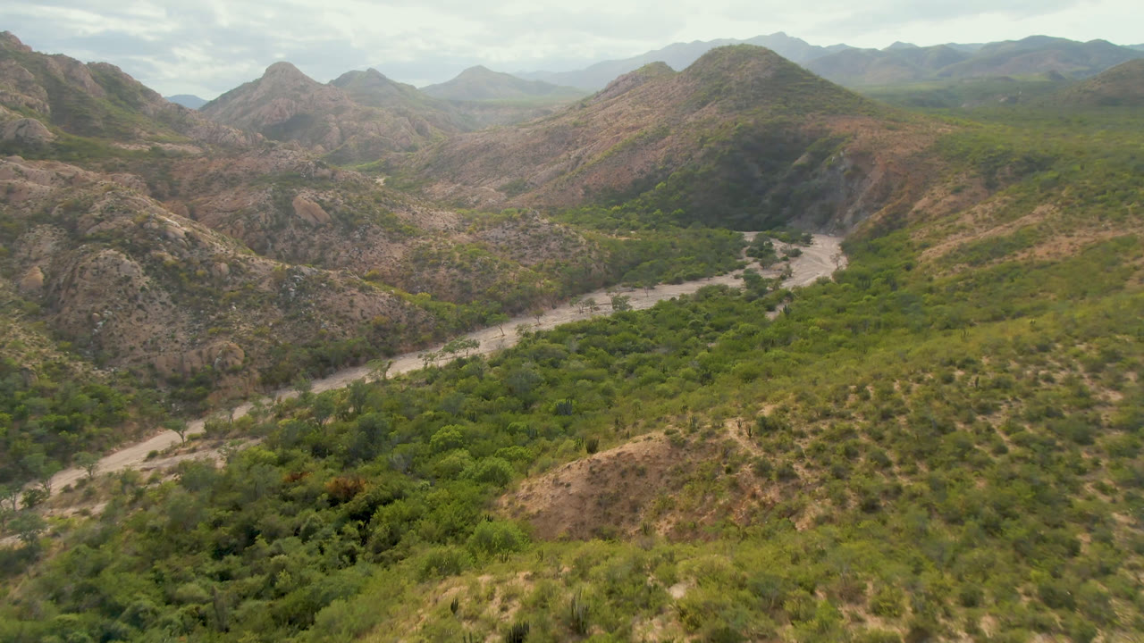 Aerial view in Cabo Pulmo with the winding riverbed more centered between green brush, tan rocky slopes, distant ridgelines, and no visible people.