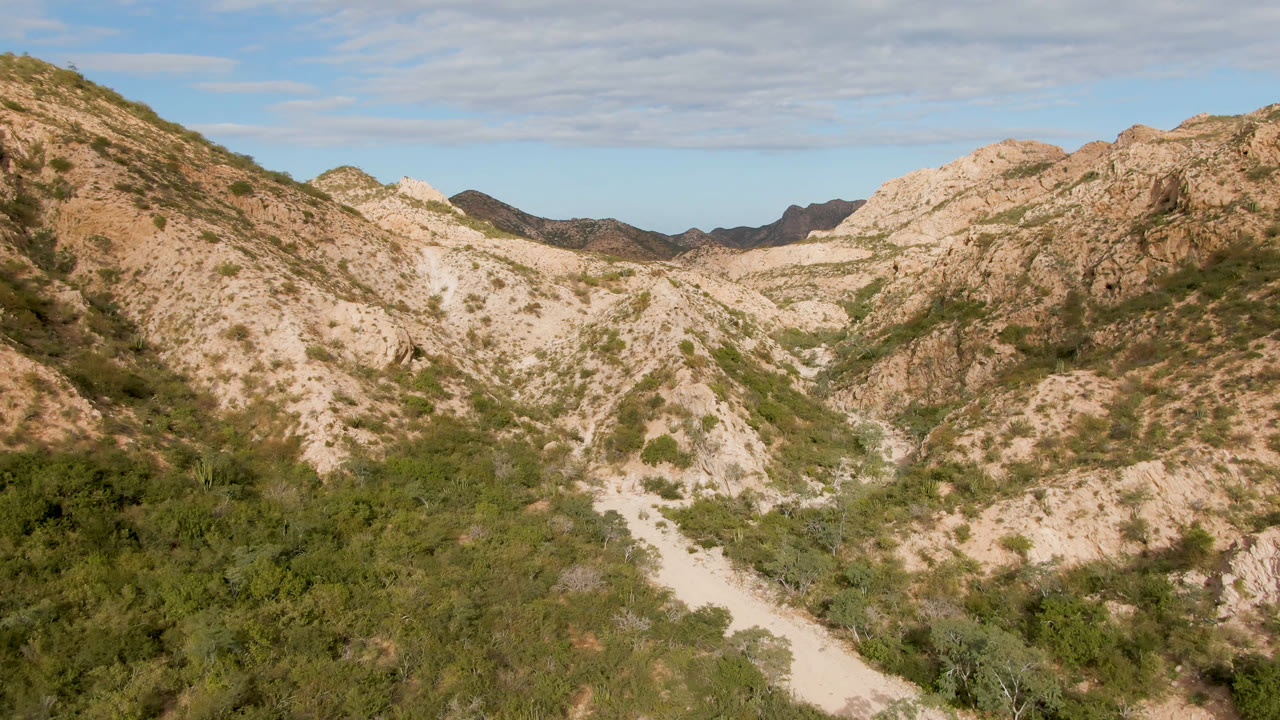 Wide elevated view in Cabo Pulmo, Baja California Sur, showing a pale dirt road crossing scrubby canyon terrain below tan rocky hills, with no visible people.