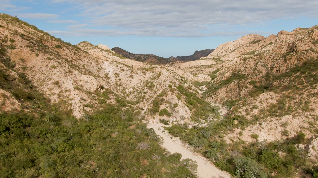 Elevated Cabo Pulmo frame with the dirt road lower in the canyon, dense green scrub in the foreground, tan mountain slopes beyond, and no visible people.