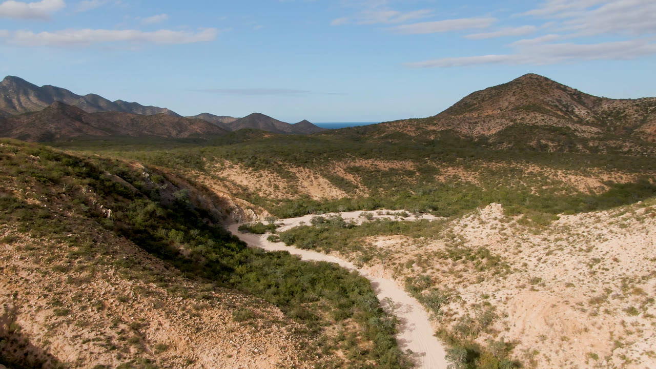 Wide desert valley with a curving dirt road and mountains under blue sky.