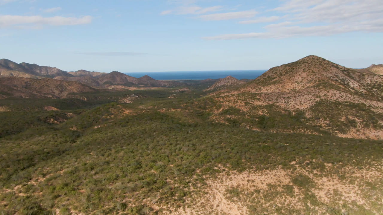 Aerial view over Cabo Pulmo scrubland toward a rounded rocky hill, distant ridges, and a blue ocean horizon, with no visible people.