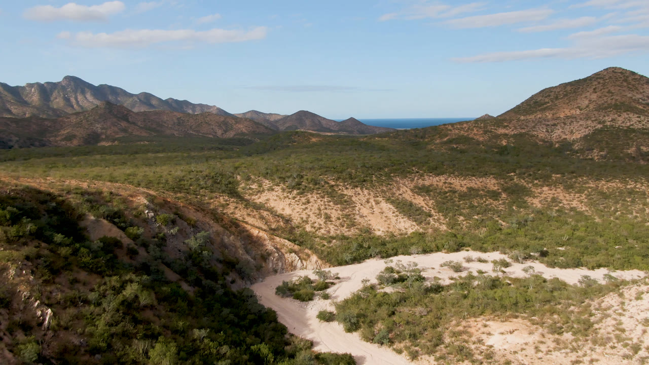 Cabo Pulmo desert terrain with a foreground dirt road bend, dense green scrub, layered brown mountains, distant blue water, and no visible people.