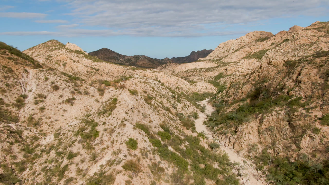 Rocky desert canyon with a pale dirt road and blue sky.
