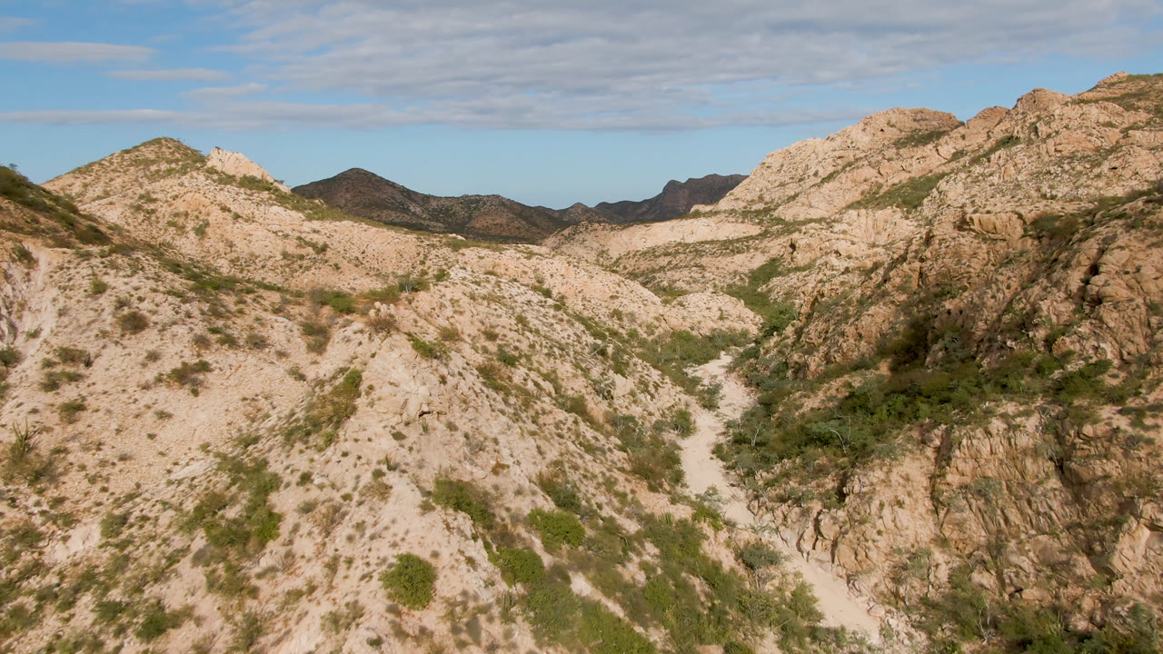 The Cabo Pulmo canyon road sits between beige rock slopes, scattered green desert vegetation, and darker mountain ridges under a blue sky, with no visible people.