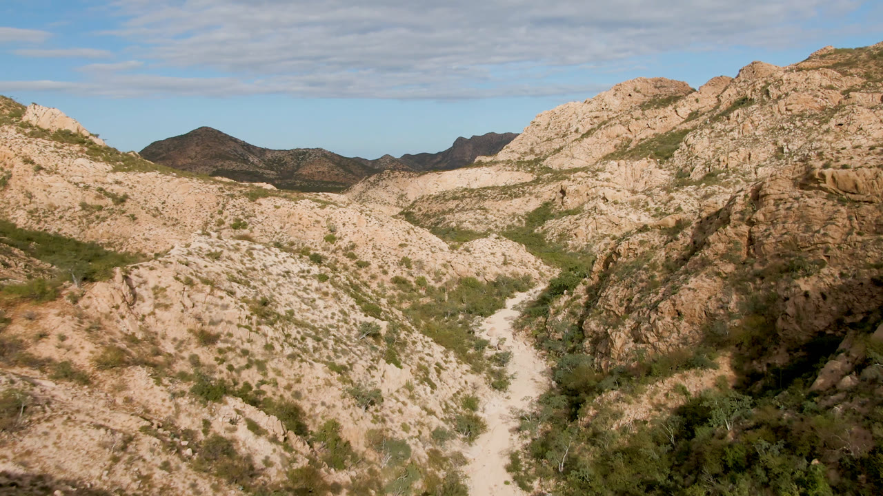 Wide elevated view in Cabo Pulmo, Baja California Sur, with a pale dirt road cutting through rocky desert hills, scattered green scrub, distant dark ridges, and no visible people.