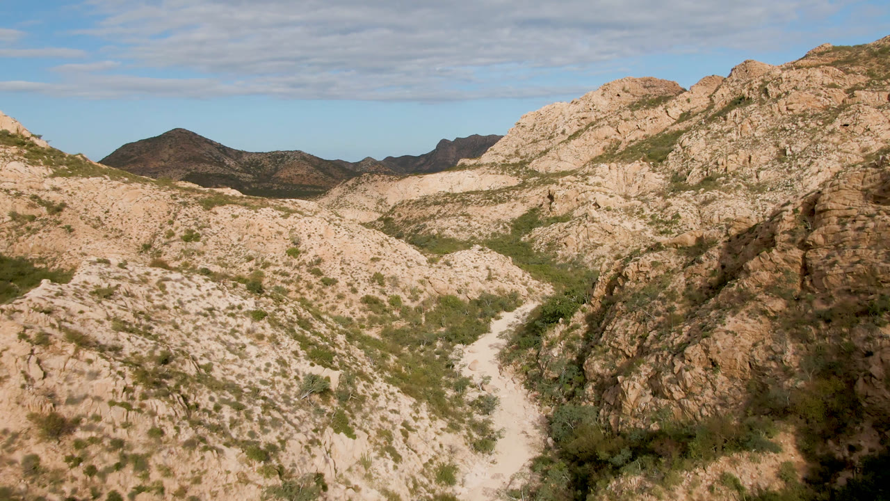Rocky desert canyon with a winding dirt road and distant mountains.