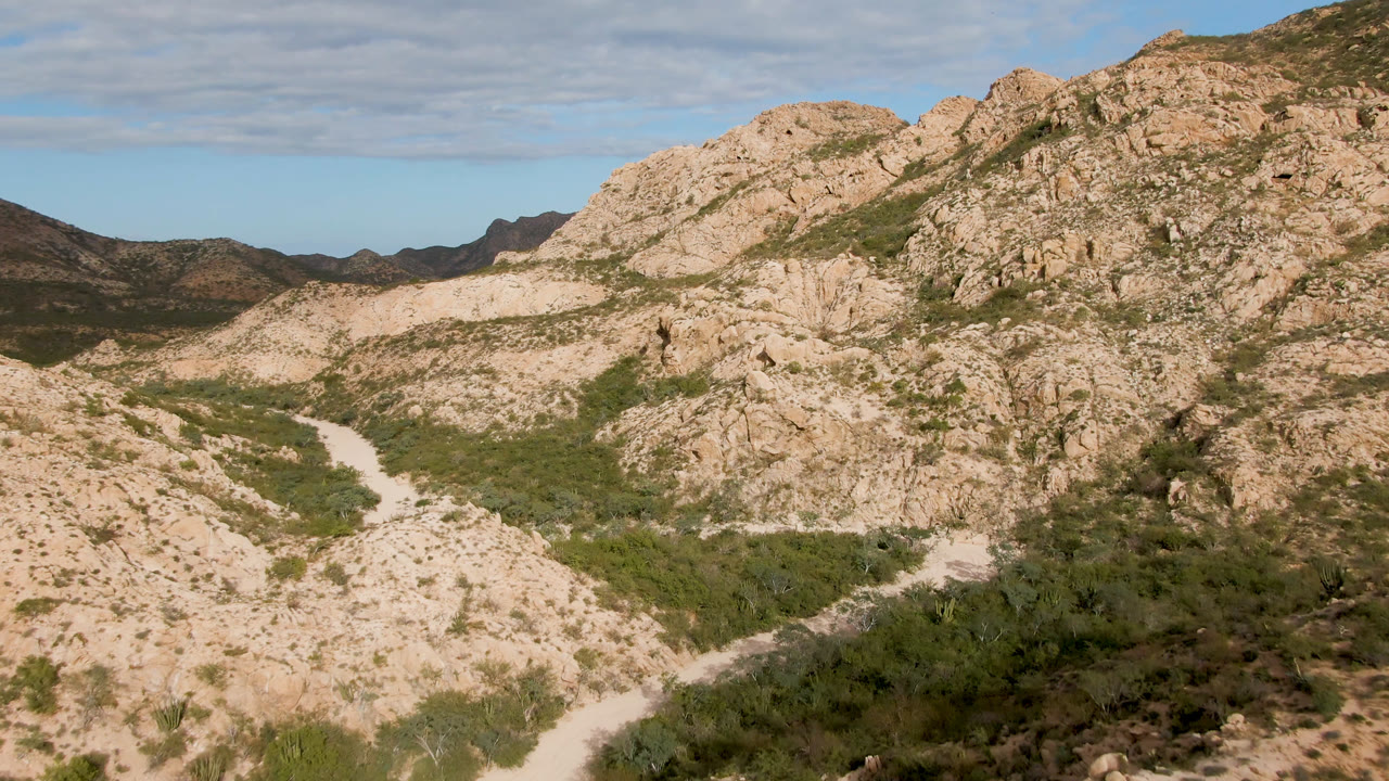 Wide elevated view of rocky hills near Cabo Pulmo, Baja California Sur, with a pale winding track through green desert vegetation and no visible people.