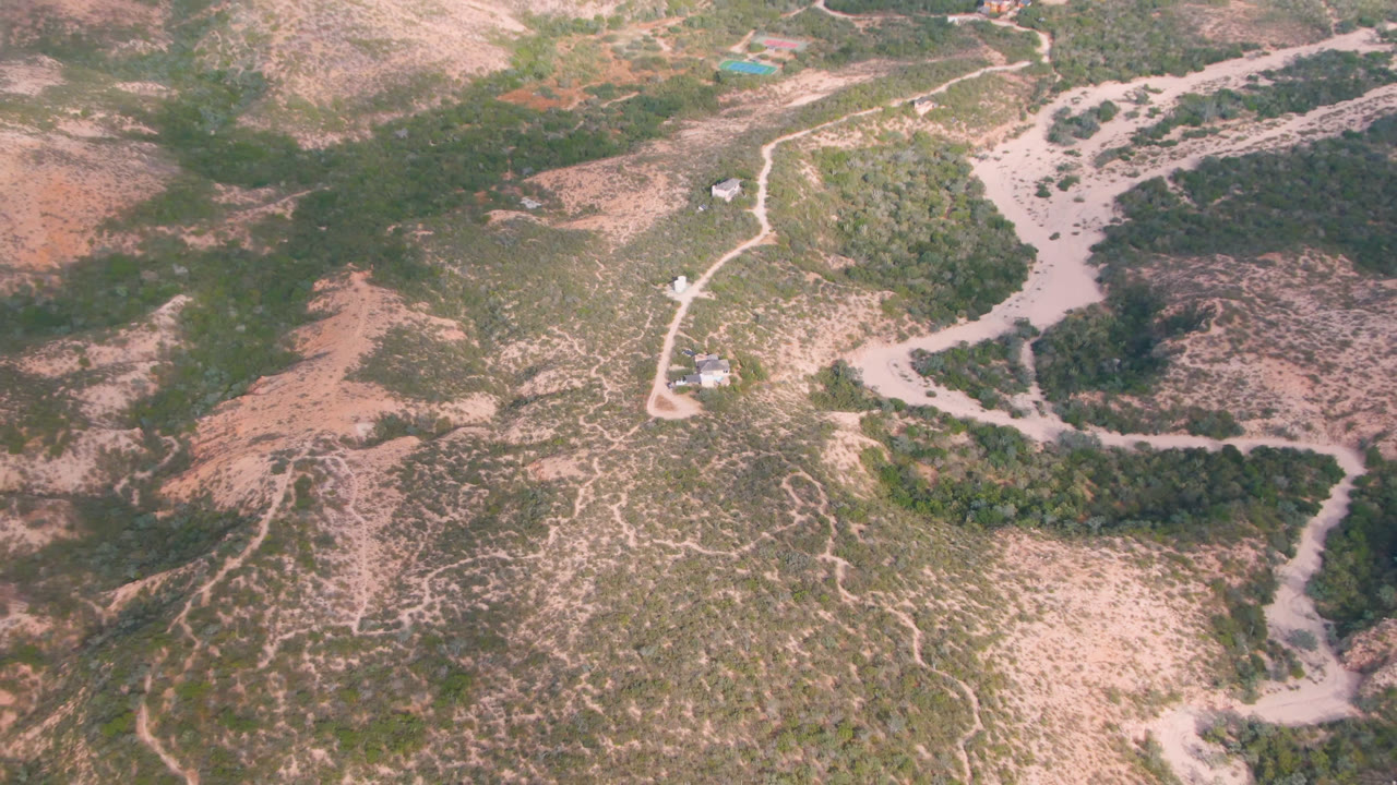Aerial frame in Cabo Pulmo with a pale road bending around green scrub and dry wash channels, with no visible people.