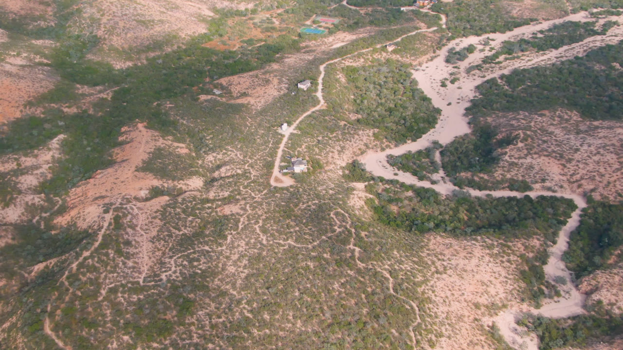 Overhead frame in Cabo Pulmo, Baja California Sur, with the dirt road running past dense brush patches, pale sandy channels, reddish soil, and no visible people.