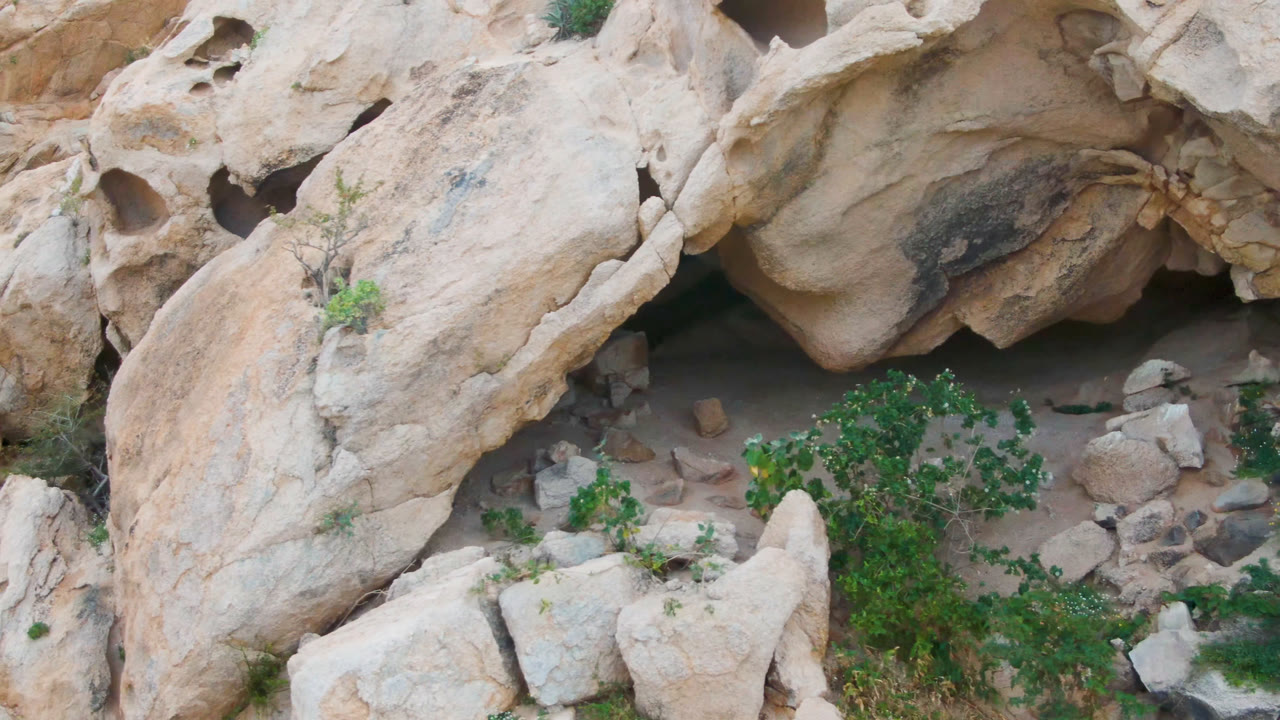 Aerial view of pale rock overhangs with a green tree below.