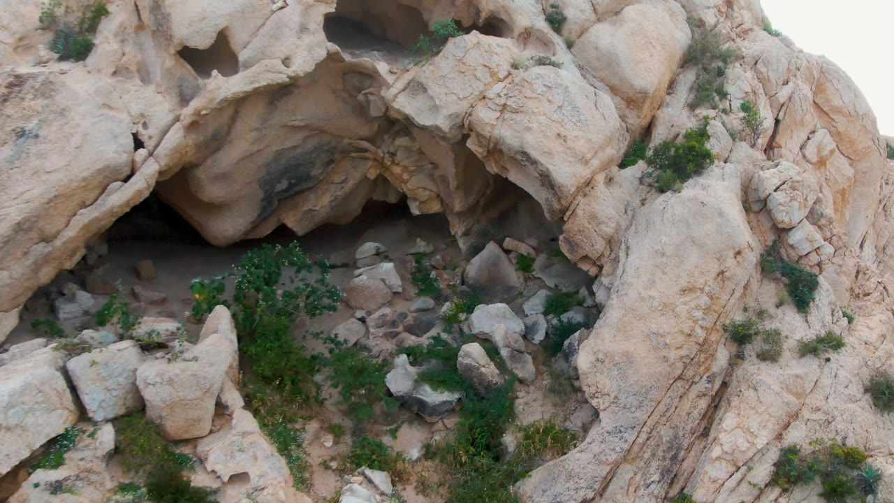 Opening frame of a pale tan rock formation in Cabo Pulmo, Baja California Sur, with a small green tree, grasses, scattered stones, and no visible people.