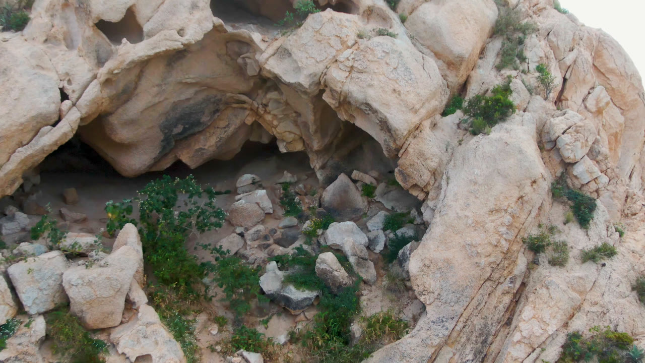 At 0:01, the Cabo Pulmo rock face appears slightly shifted across the frame, showing smooth eroded stone, a green tree near the lower center, loose rocks, and no visible people.