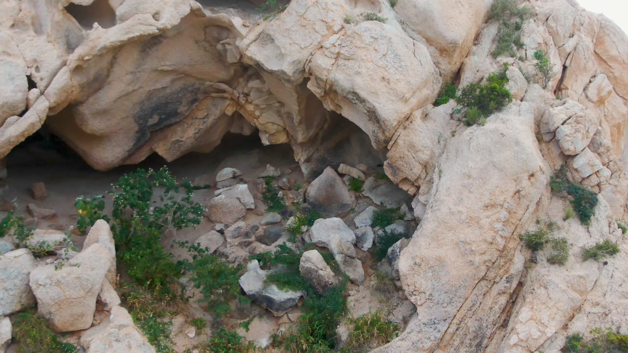 Large tan boulders and a tree beside a dark recess in the rock.