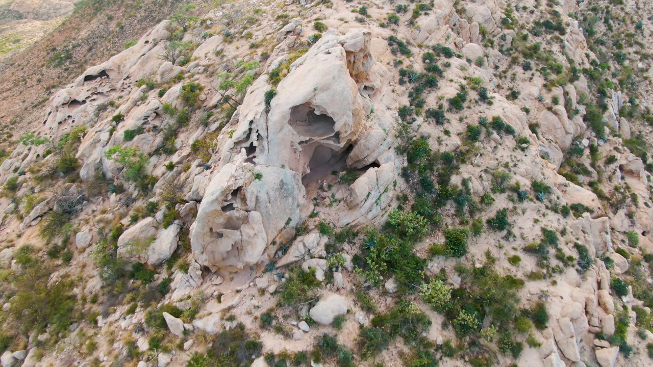 Aerial view in Cabo Pulmo, Baja California Sur, with the cave mouth near the left-center of a pale rock face, scrubby green plants across the slope, and no visible people.