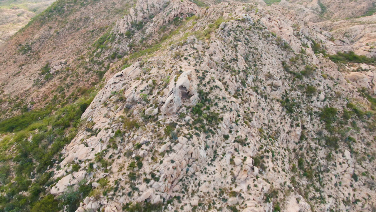 Rocky mountain ridge with sparse green shrubs and a small dark bird on a pale rock face.
