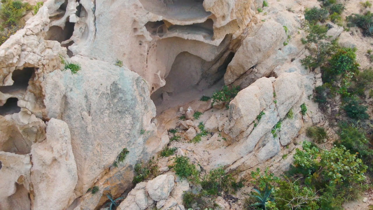 Close overhead view of cave pockets beside pale stone and brush.