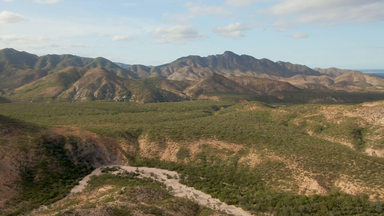 Second aerial frame in Cabo Pulmo showing the palm forest spread through the valley, a pale road bend near the lower edge, dry hills, distant ridges, and no visible people.
