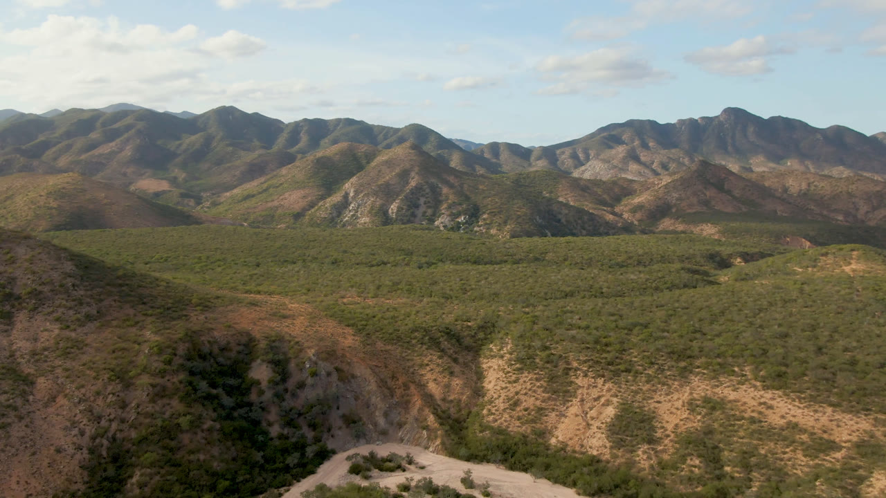 Aerial view in Cabo Pulmo with a rounded scrub-covered hill near center, pale dirt road lines in the valley, distant brown ridges, blue sky, and no visible people.