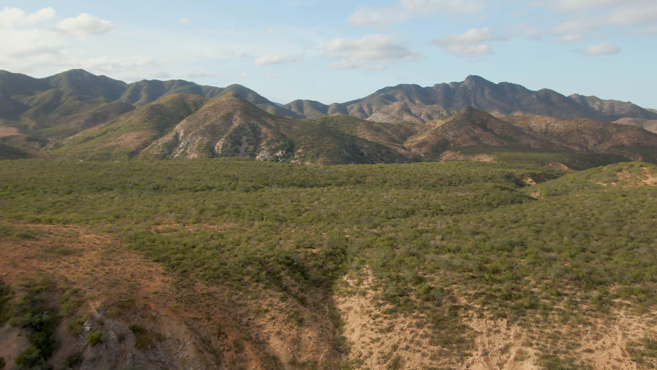 Wide aerial view of scrubland below rocky mountains under a blue sky.