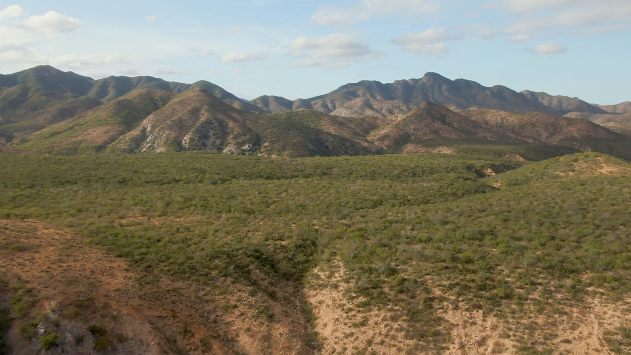 Cabo Pulmo aerial frame with a rounded hillside left of center, broad scrub vegetation across the basin, distant mountain peaks, soft daylight, and no visible people.
