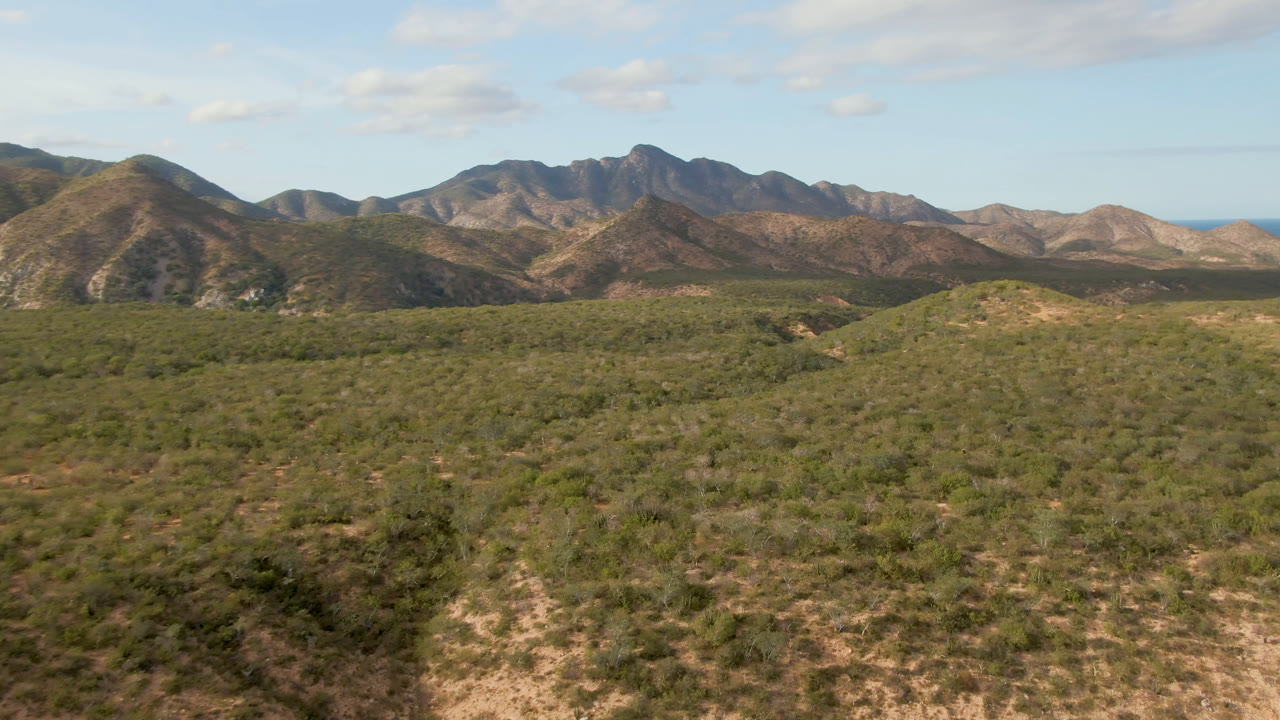 Opening frame of Cabo Pulmo desert scrubland facing distant brown and green mountains under a pale blue sky, with no visible people.