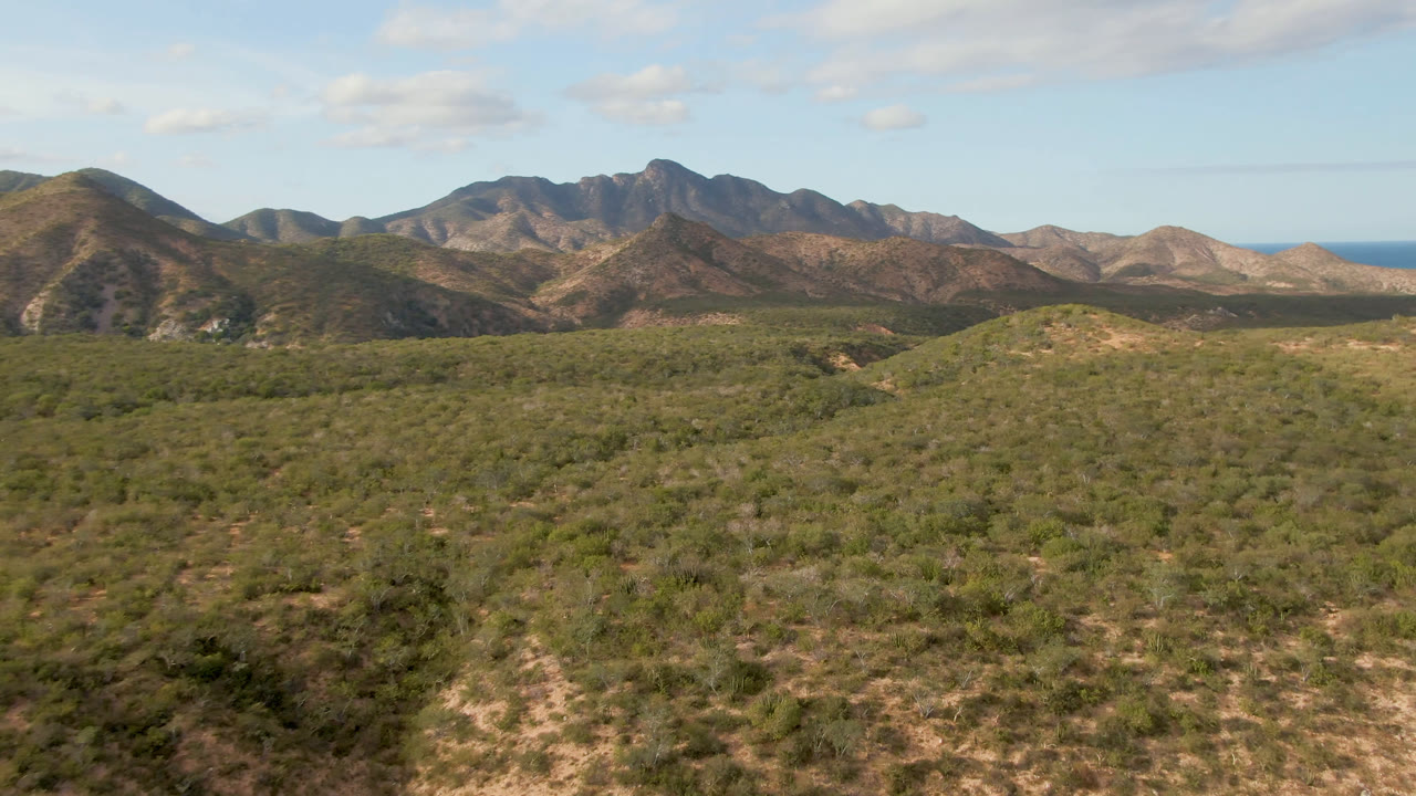 Cabo Pulmo landscape frame with low green shrubs across the foreground, rugged mountain ridges in the distance, and no visible people.